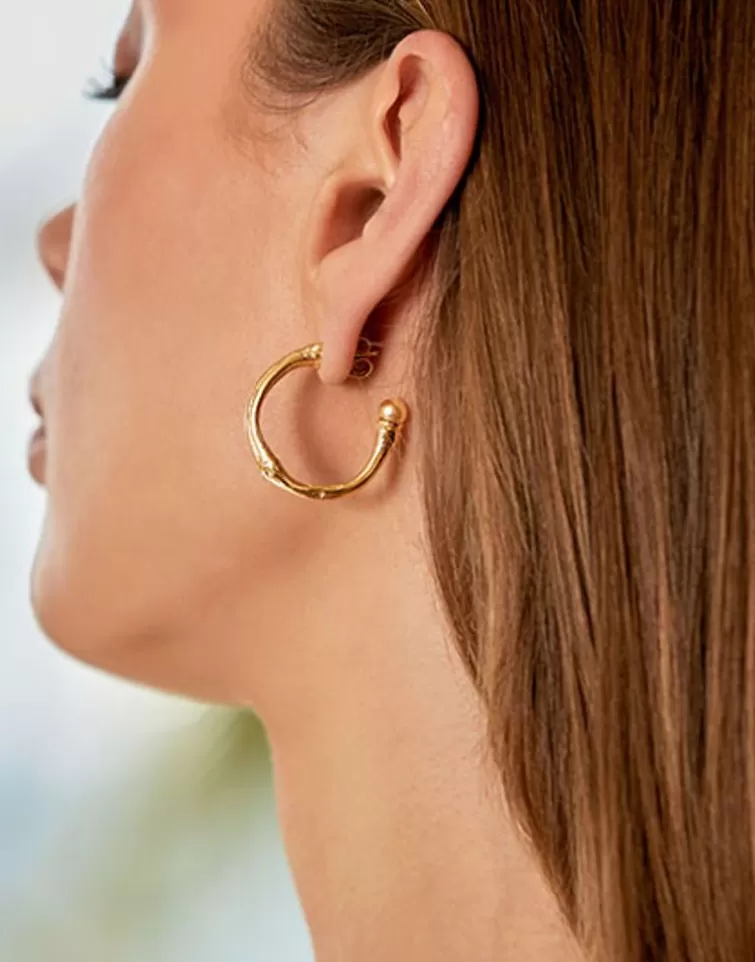 Pendientes De Aro Con Perlas | Majorica Pendientes En Aro Bambu Dorados Con Perlas Champagne